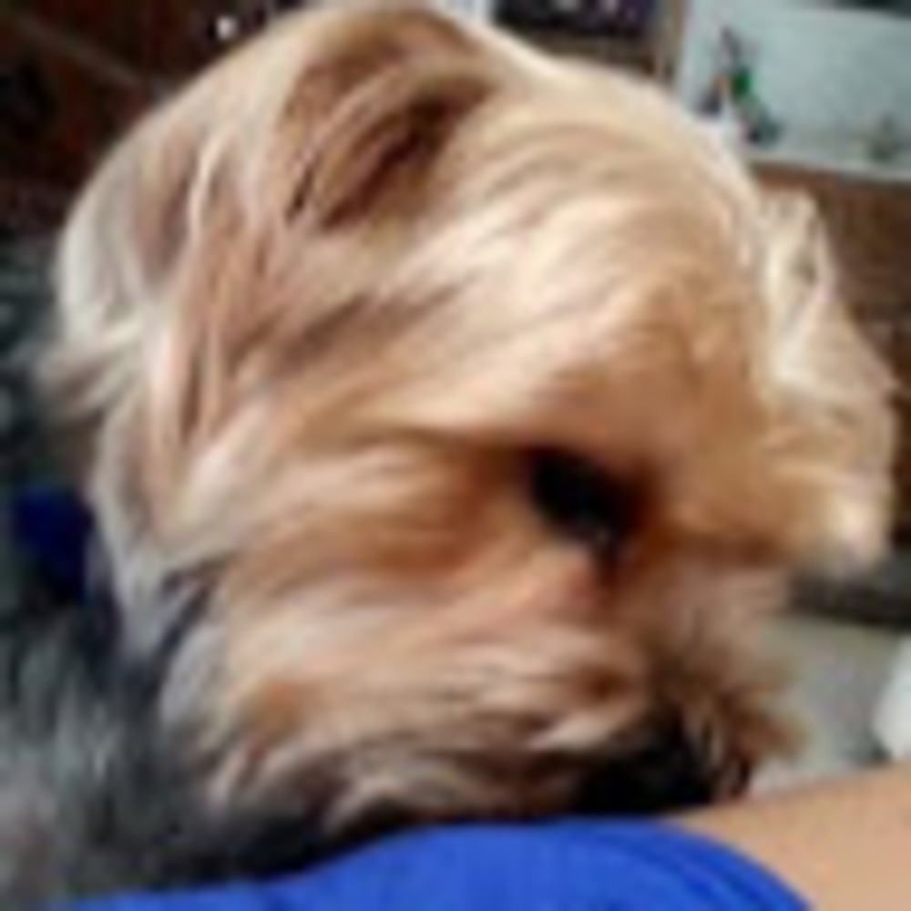 Meet your Posher, Claudia